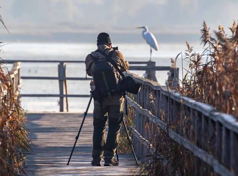 bird photographing