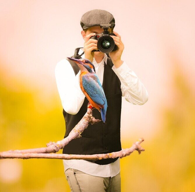 bird photographing
