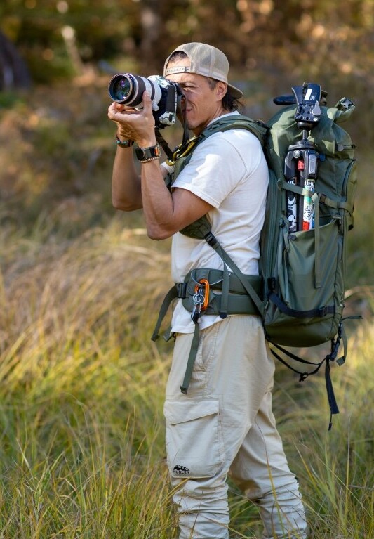 bird photography gear
